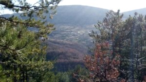 ЦУК: Пронајдено повозрасно лице изгубено на планината Плачковица