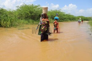 Над 300 луѓе го загубија животот во поплави во Источна Африка