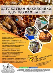 Младите и пчеларството во фокусот на одбележувањето на Светскиот ден на пчелата
